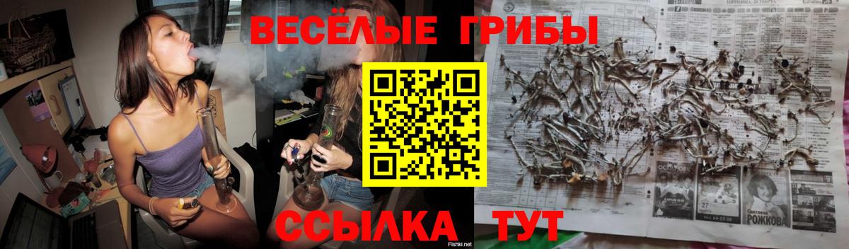 Псилоцибиновые грибы прущие грибы Мурманск