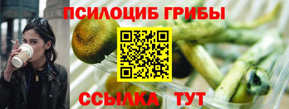 Галлюциногенные грибы GOLDEN TEACHER  Вход с VPN  Мурманск 